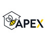 APEX