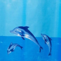 3819B  Шторка для душа Miranda WHALE, 180х200см блакитна