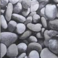 1419GR  Шторка для душу Miranda ROCKS, 180х200см, сіра