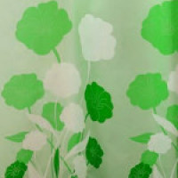 9117G  Шторка для душа Miranda HERBARIUM, 180х200см, зелений