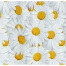 4814M  Шторка для душа Miranda CAMOMILE, 180х200см