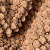 Килимок для ванних кімнат Ананас Dariana 55x50 см Какао 1000009079