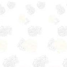 1000007517  Шторка (фіранка) для душу з поліестеру 180*180 см, 12 кілець RP-2707-3