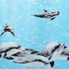 8714D  Шторка для душа Miranda DOLPHINARIUM, 180х200см,