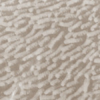 4112BG  Шторка для душу Miranda PLAIN, 180х200см, бежева